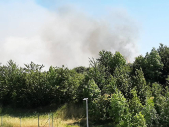 Las llamas afectaron a un campo cosechado quemado la paja restante y ocasionando una columna de humo que alertó este domingo, 21 de junio, a los vecinos de Sarriguren.