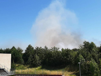 Las llamas afectaron a un campo cosechado quemado la paja restante y ocasionando una columna de humo que alertó este domingo, 21 de junio, a los vecinos de Sarriguren.