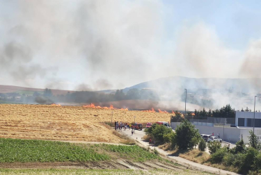 Las llamas afectaron a un campo cosechado quemado la paja restante y ocasionando una columna de humo que alertó este domingo, 21 de junio, a los vecinos de Sarriguren.