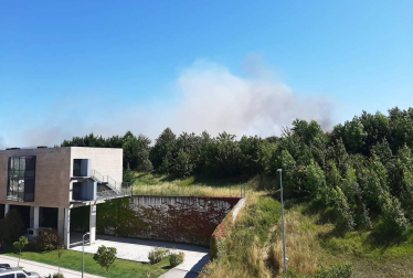 Las llamas afectaron a un campo cosechado quemado la paja restante y ocasionando una columna de humo que alertó este domingo, 21 de junio, a los vecinos de Sarriguren.