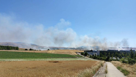 Las llamas afectaron a un campo cosechado quemado la paja restante y ocasionando una columna de humo que alertó este domingo, 21 de junio, a los vecinos de Sarriguren.