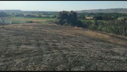 Incendio forestal en Carcastillo