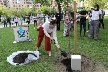 Familiares de los fallecidos participaron en una plantación simbólica de un cerezo