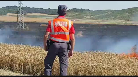 Vídeo: Incendio en el término municipal de Larraga