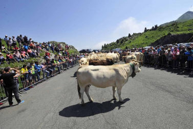 La Piedra de San Martín, frontera entre los valles de Roncal y Baretous (Francia), volvió a ser testigo de la firma del Tributo de las Tres Vacas, acto que sirve para renovar un año más la paz entre valles