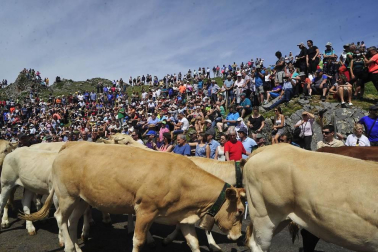 Ceremonia del tributo de las tres vacas