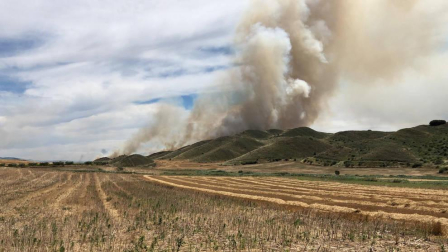 Incendio en los campos cercanos a Los Arcos.