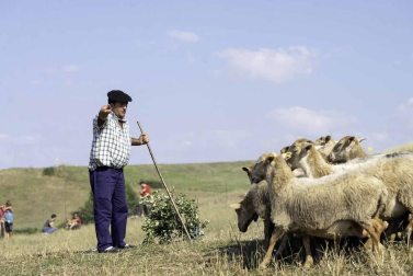 Todas las fotos del concurso de perros pastor del Artzai Eguna 2019