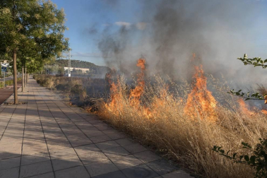 Un incendio afectó el jueves por la tarde a una zona de campo sin cultivar y no dejó heridos en Tudela.