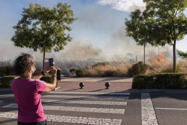 Un incendio afectó el jueves por la tarde a una zona de campo sin cultivar y no dejó heridos en Tudela.