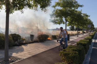 Un incendio afectó el jueves por la tarde a una zona de campo sin cultivar y no dejó heridos en Tudela.