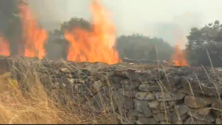Tres incendios forestales devoran 850 hectáreas en tres municipios de Ourense