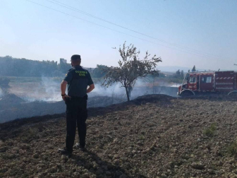 Un incendio que ha quemado algo más de una hectárea ha afectado este jueves por la mañana al paraje El Puentecillo en Viana.