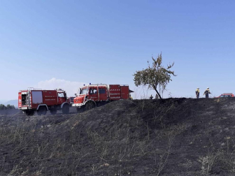 Un incendio que ha quemado algo más de una hectárea ha afectado este jueves por la mañana al paraje El Puentecillo en Viana.
