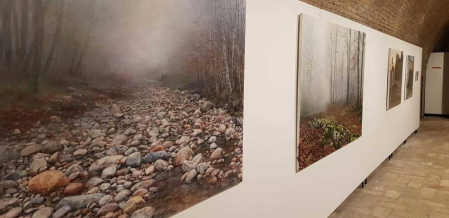 El pabellón de Mixtos de la Ciudadela acoge en sus dos plantas una muestra de artes plásticas compuesta por 36 visiones particulares de la naturaleza desde el punto de vista del encierro al que estos artistas, como el resto de ciudadanos, asistieron durante la primavera.