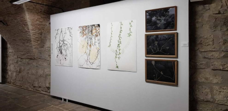 El pabellón de Mixtos de la Ciudadela acoge en sus dos plantas una muestra de artes plásticas compuesta por 36 visiones particulares de la naturaleza desde el punto de vista del encierro al que estos artistas, como el resto de ciudadanos, asistieron durante la primavera.