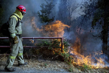 El voraz incendio que desde la tarde de este miércoles afecta a los municipios ourensanos de Cualedro y Monterrei continúa activo y avanzando y supera ya las 1.000 hectáreas