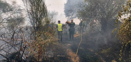 El voraz incendio que desde la tarde de este miércoles afecta a los municipios ourensanos de Cualedro y Monterrei continúa activo y avanzando y supera ya las 1.000 hectáreas