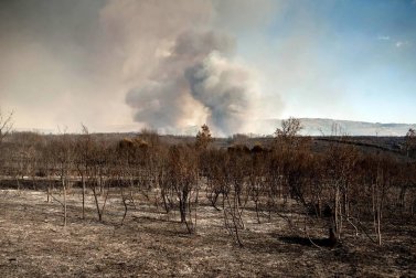 El voraz incendio que desde la tarde de este miércoles afecta a los municipios ourensanos de Cualedro y Monterrei continúa activo y avanzando y supera ya las 1.000 hectáreas