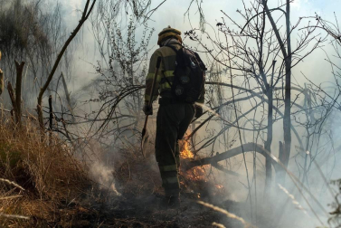 El voraz incendio que desde la tarde de este miércoles afecta a los municipios ourensanos de Cualedro y Monterrei continúa activo y avanzando y supera ya las 1.000 hectáreas