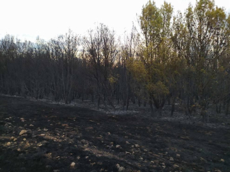El rayo de una tormenta provoca un incendio forestal en Gazolaz