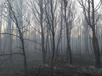 El rayo de una tormenta provoca un incendio forestal en Gazolaz