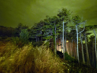 El rayo de una tormenta provoca un incendio forestal en Gazolaz