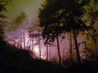 El rayo de una tormenta provoca un incendio forestal en Gazolaz