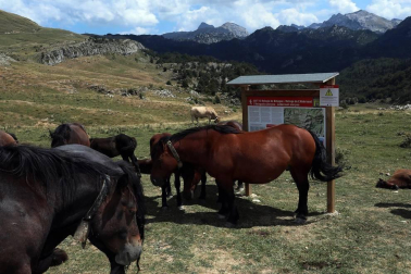 Tras 16 años cerrado, el 'nuevo' refugio Ángel Olorón ha abierto sus puertas este viernes.