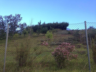 Se vende Finca de recreo de 7.500 m2