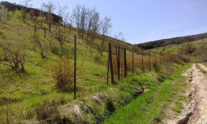 Se vende Finca de recreo de 7.500 m2