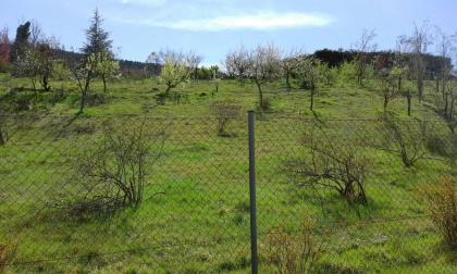 Se vende Finca de recreo de 7.500 m2