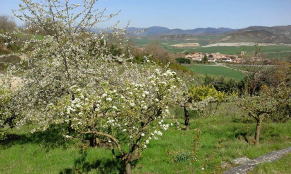 Se vende Finca de recreo de 7.500 m2