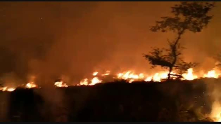 Arden cinco hectáreas de matorral en el monte Oteixon