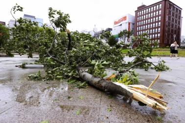 Al menos 35 personas han resultado heridas en las últimas horas en Japón por el paso de un tifón que ha castigado la región suroccidental del país con vientos huracanados que llegaron a tener una fuerza sin precedentes históricos.