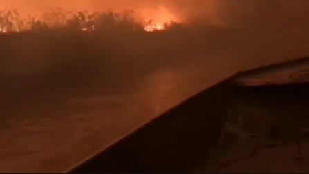 Vídeo: Estado de calamidad en el pantanal de Brasil