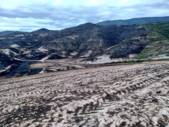 Aspecto del terreno afectado por el incendio de Lónguida.