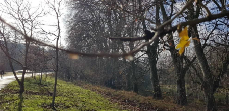 Fotos enviadas por los lectores durante el otoño de 2020.