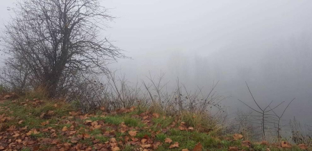 Fotos enviadas por los lectores durante el otoño de 2020.