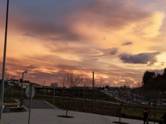 Fotos enviadas por los lectores durante el otoño de 2020.