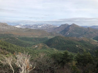 Fotos enviadas por los lectores durante el otoño de 2020.