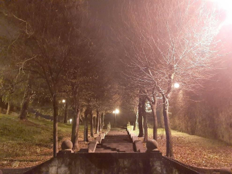 Fotos enviadas por los lectores durante el otoño de 2020.