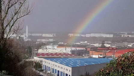 Fotos enviadas por los lectores durante el otoño de 2020.