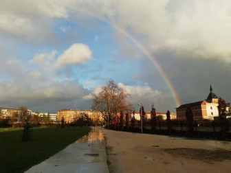 Fotos enviadas por los lectores durante el otoño de 2020.