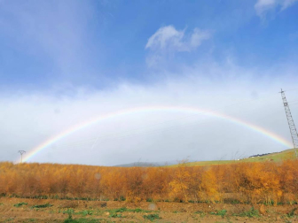 Fotos enviadas por los lectores durante el otoño de 2020.