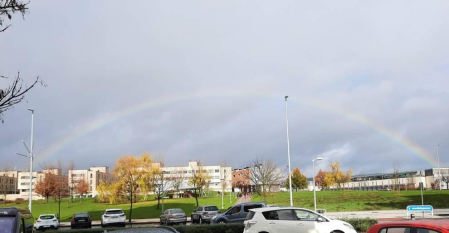 Fotos enviadas por los lectores durante el otoño de 2020.
