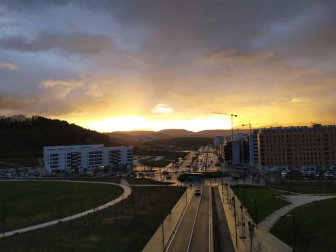 Fotos enviadas por los lectores durante el otoño de 2020.