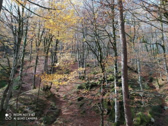 Fotos enviadas por los lectores durante el otoño de 2020.