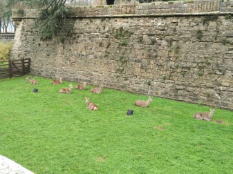 Fotos enviadas por los lectores durante el otoño de 2020.