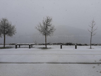 Fotos enviadas por los lectores durante el otoño de 2020.